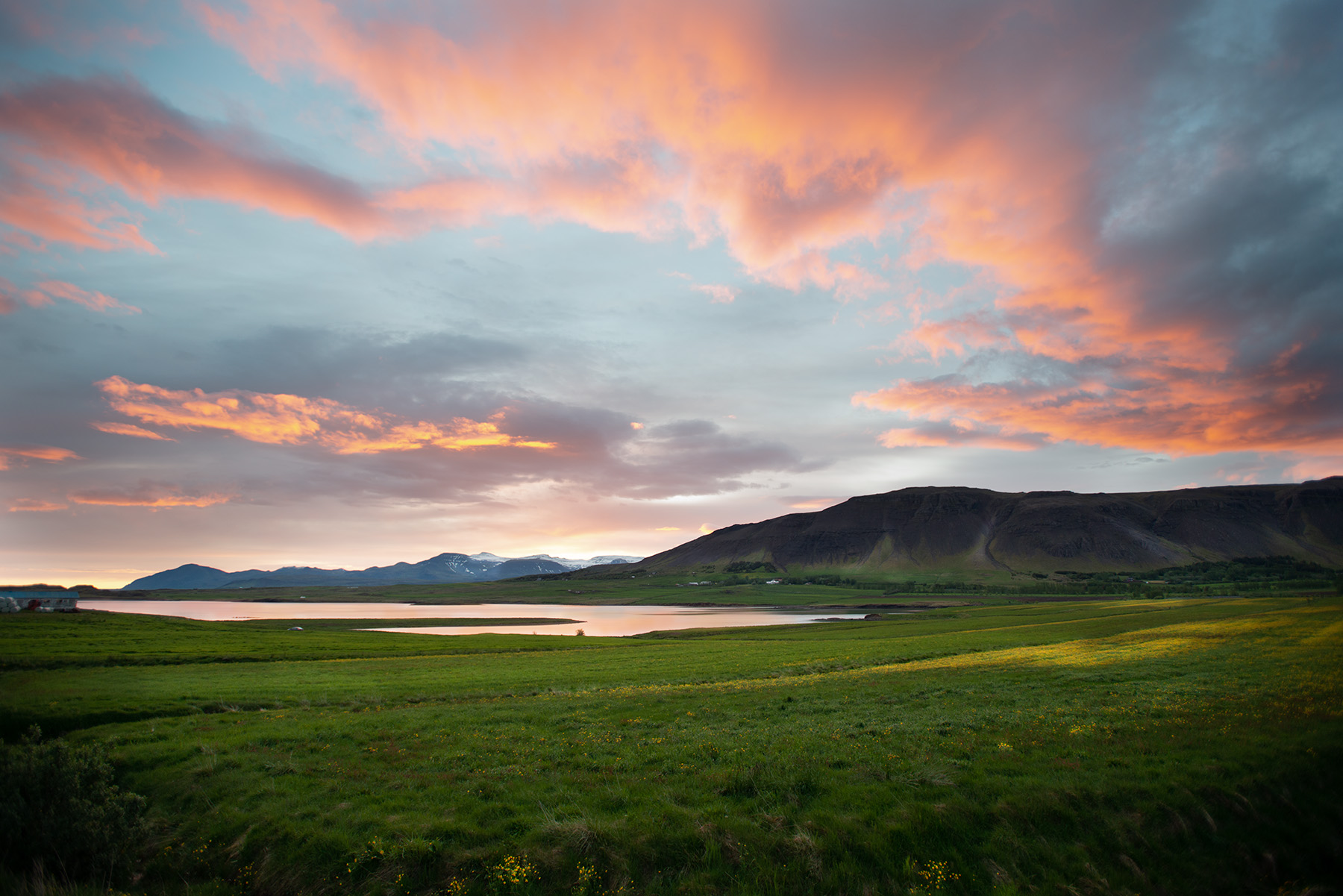 Iceland_grass | Ebert Studio